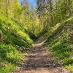 27.4.2025 - Der nördliche Teil der Fränkischen Schweiz